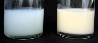Verdades sobre la leche del inicio y la leche del final