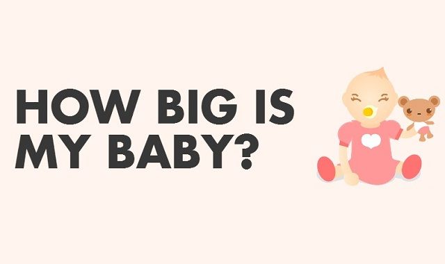 Image: How Big is My Baby?