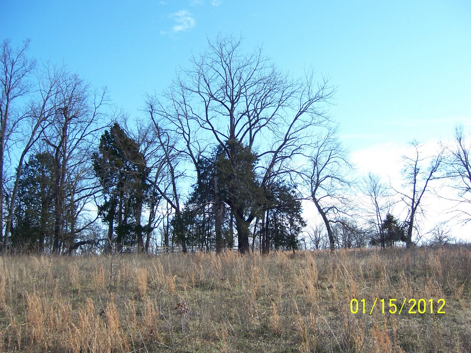 Cemeteries of Baxter County, AR Ellison Family Cemetery near Missouri