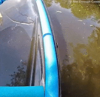 daily_gifdump_2912_24.gif