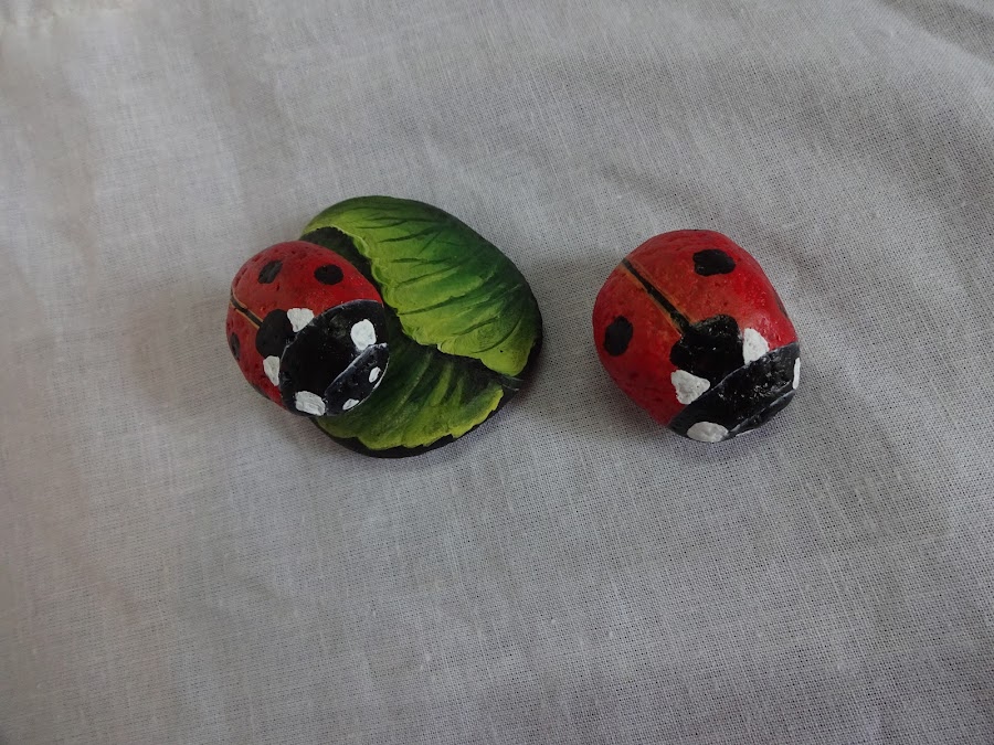 como pintar una mariquita sobre una piedra paso a paso