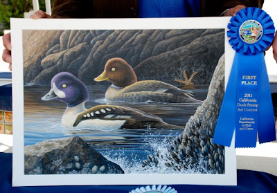 2011 California Duck Stamp by Shari Erickson