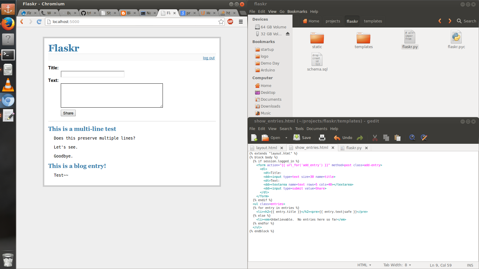 orange narwhals WTFisThisRegister, Beginner's Flask App Dictionary