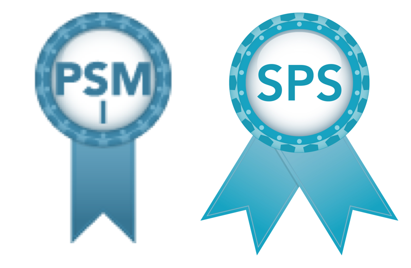 PSM-I的中関連問題