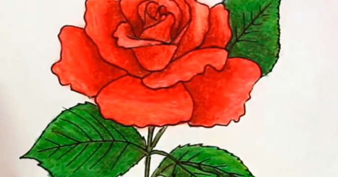كيفية رسم وردة جميلة Images Gallery