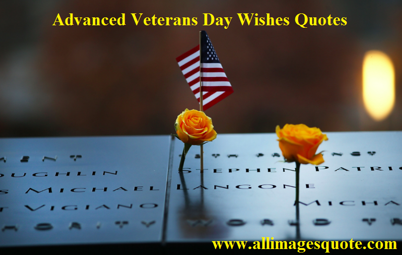 Liberal veterans day quotes