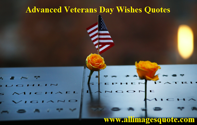 Writing veterans day poems