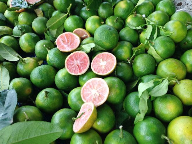 Cách ngâm chanh đào mật ong trị ho cho cả nhà Cách ngâm chanh đào mật ong trị ho cho cả nhà