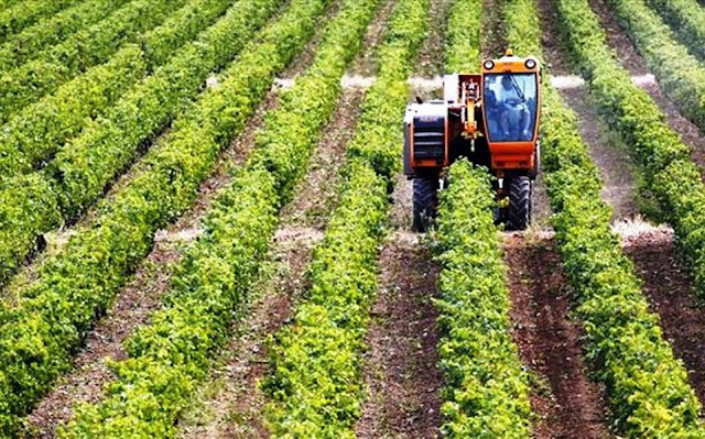 Πρέβεζα: Εκκίνηση επιχείρησης από νέους Γεωργούς στην Π.Ε. Πρέβεζας
