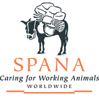 Descobre como ajudar grátis animais de carga / Free ways to help working animals