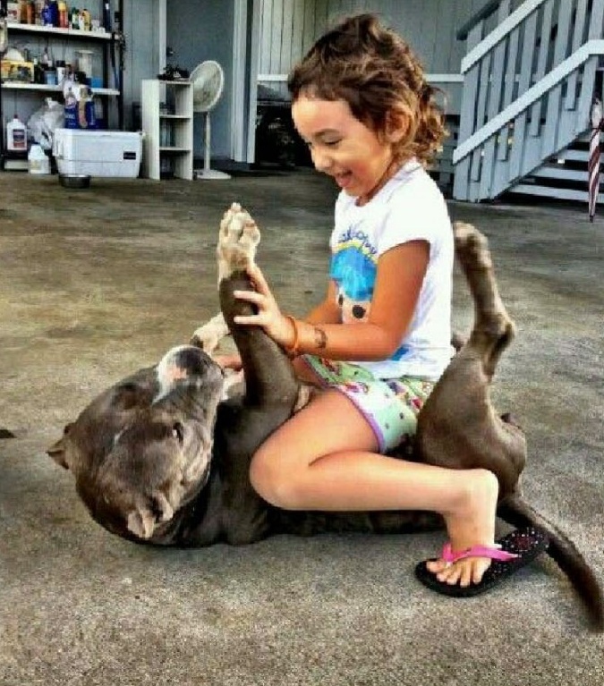 Simple Way to Win your Dogs Mind Turn Your Puppy Into The Perfect Dog