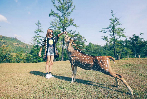 wisata keluarga di bogor Wisata Penangkaran Rusa Giri Jaya wisata keluarga di bogor Wisata Penangkaran Rusa Giri Jaya