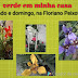 Ativista social convida para ver projeto "Verde em minha casa".