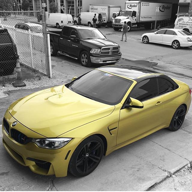 Forex millionaire