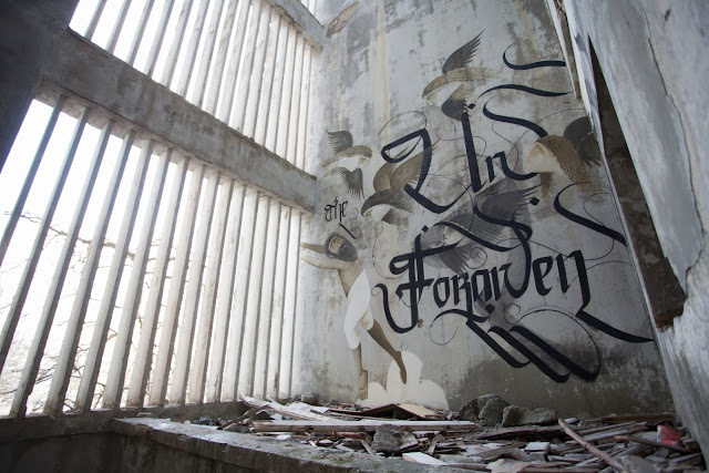 Street Art By Fikos Antonios and Simon Silaidis in the abandoned Sanatorium of mount Parnitha - Athens, Greece. 6