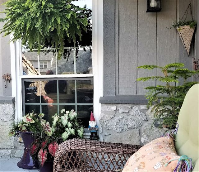 Hello, (Flower) Potted SUMMER! - caladium 1 www.bohohome.com @bohosusan www.etsy.com/shop/BoHoHomebySusan