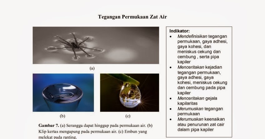 Fisika Siswa: Tegangan Permukaan Zat Cair