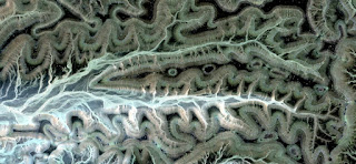 Tribute to Van Gogh,allegory of the mimicked viper lurking among the vegetation of an oasis in the African desert,abstract landscapes of deserts of Africa from the air, of Abstract Naturalism Munimara Tribute to Van Gogh,allegory of the mimicked viper lurking among the vegetation of an oasis in the African desert,abstract landscapes of deserts of Africa from the air,