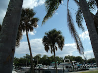 Paradise Marina Paradise Marina