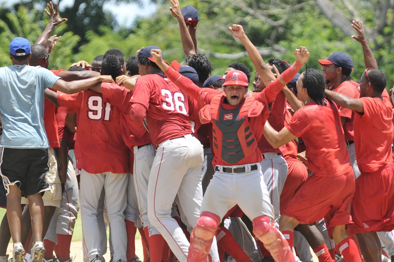 LO QUE PASO HOY ANGELS CAMPEONES DE LA DOMINICAN SUMMER LEAGUE