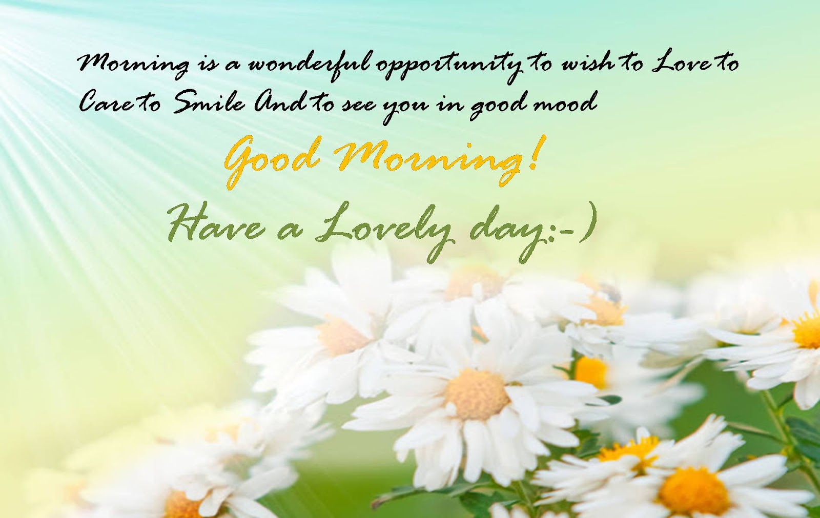 HD Wallpapers Good Morning