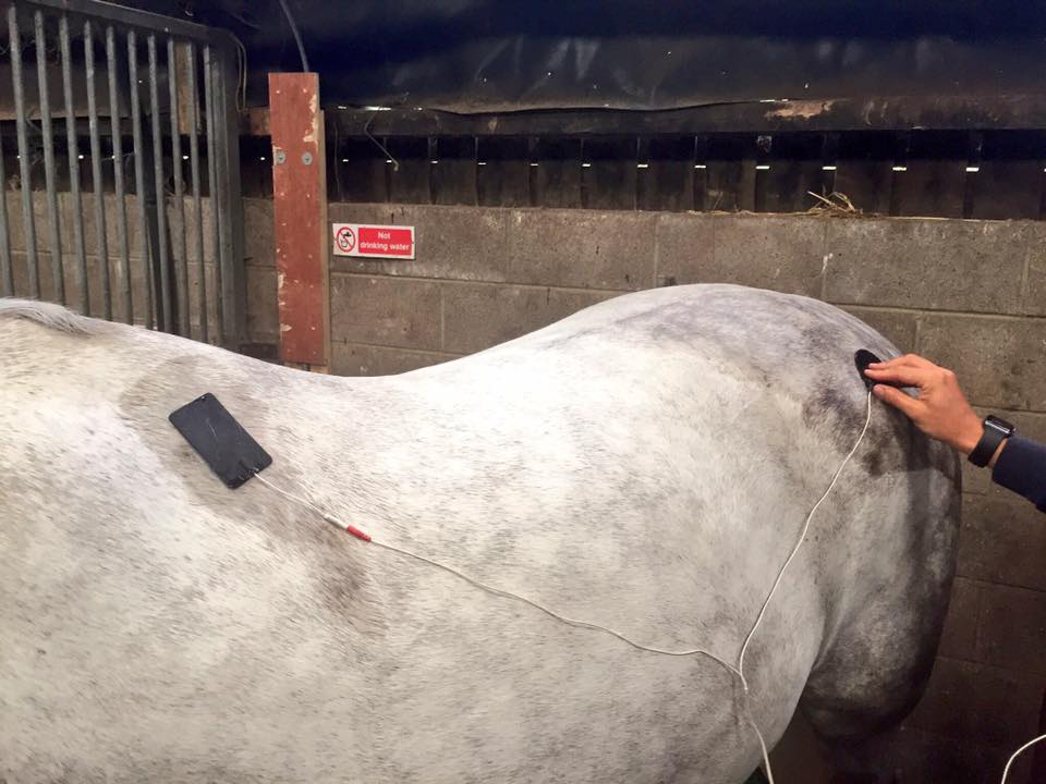 Team Tunnah Eventing Equine Physio & Rider Balance with Lee Clark