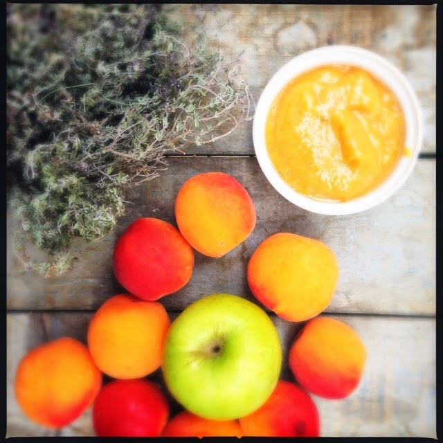 Ma cuisine à moi Compote pomme/abricot