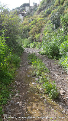 Barranco de Cubas Barranco de Cubas