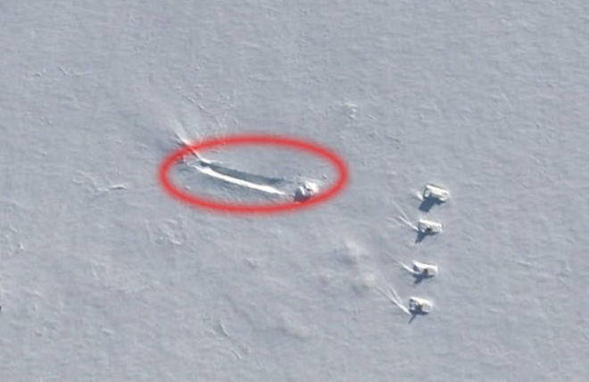 Jornalista  se especializa em caçar OVNIs na Antártida e Sibéria