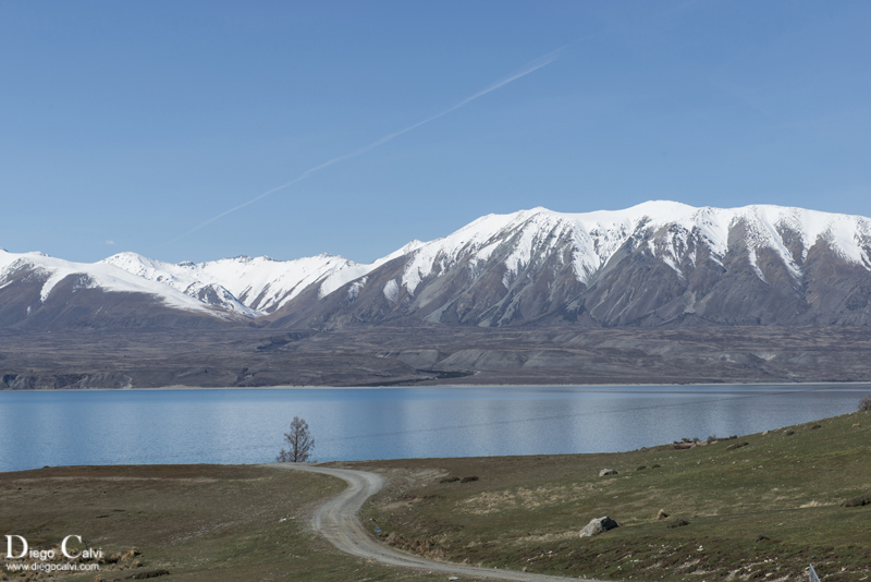 Nueva Zelanda en Campervan - Vuelta al mundo - Blogs de Nueva Zelanda - Tekapo y los lagos (2)