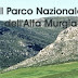 Bari. Parco Alta Murgia: Finanziato da LIFE+ il progetto di controllo ed eradicazione dell’ailanto nel Parco