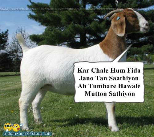 Bakra Eid -ul-Adha Zuha sms message wishes in english Urdu Hindi with images pictures Greetings Card Bakra Eid -ul-Adha Zuha sms message wishes in english Urdu Hindi with images pictures Greetings Card