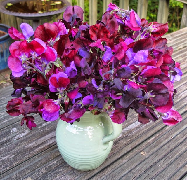 Vase Of Sweet Peas