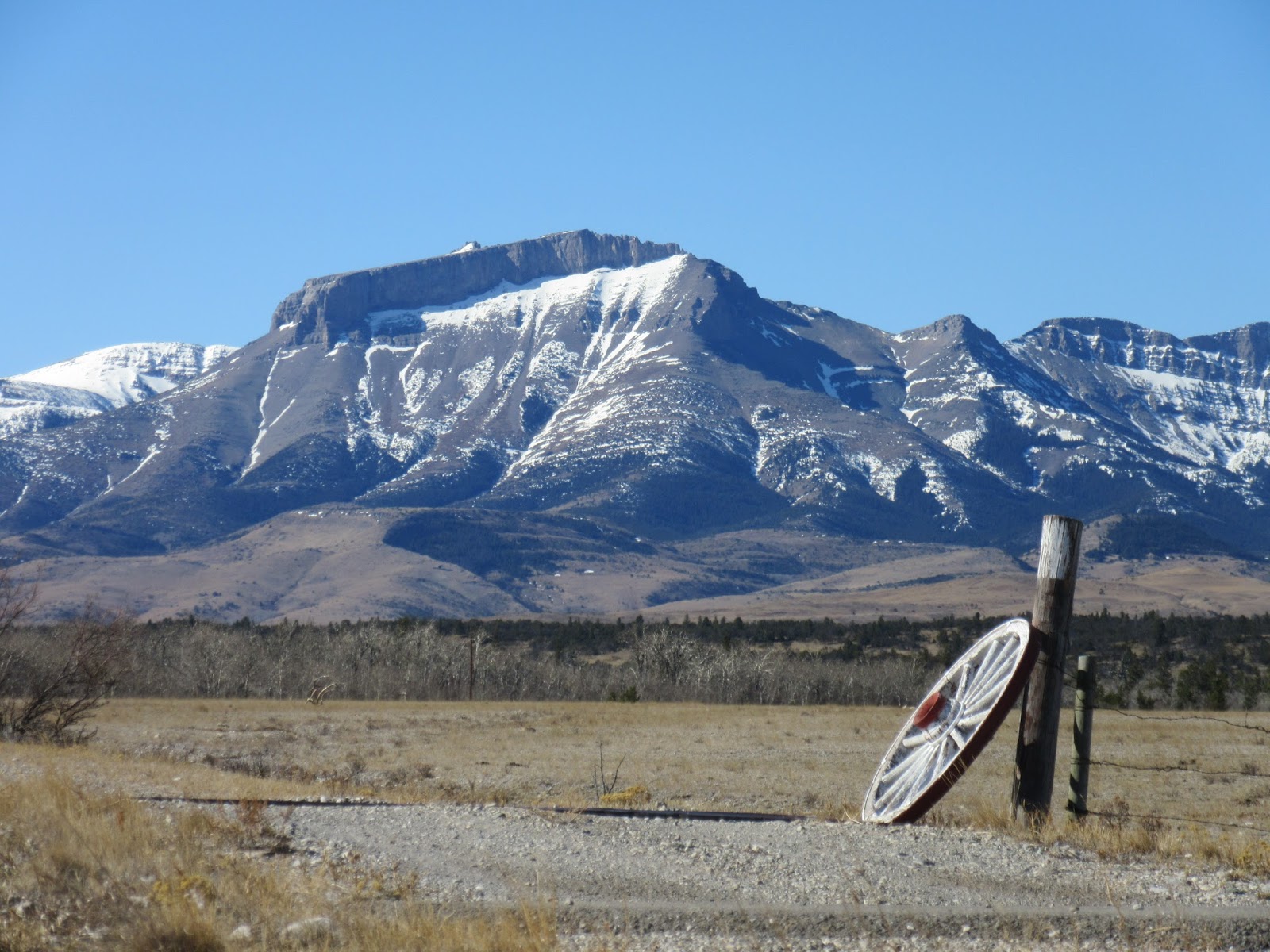 Where The Wind Takes Us... One Doggie Field After Another Ear Mountain
