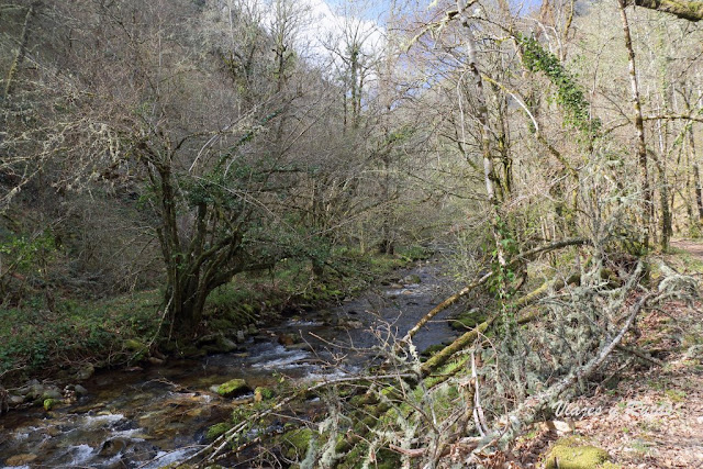 Parque de Muniellos