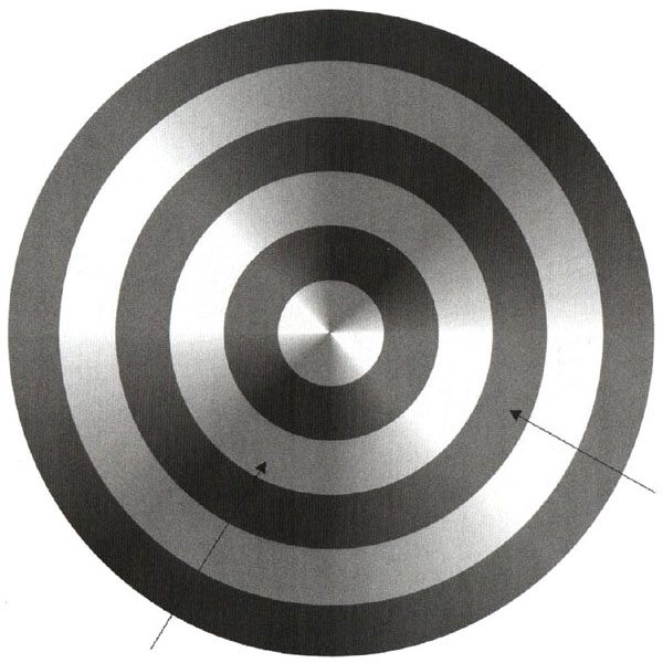 Siyah beyaz renkli bir hedef tahtasındaki aynı renkli olan çember bölümlerini ok ile gösteren resim
