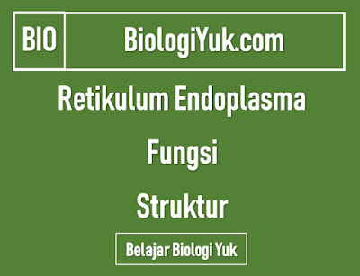Retikulum Endoplasma (RE): Fungsi dan Struktur (Lengkap) Retikulum Endoplasma (RE): Fungsi dan Struktur (Lengkap)