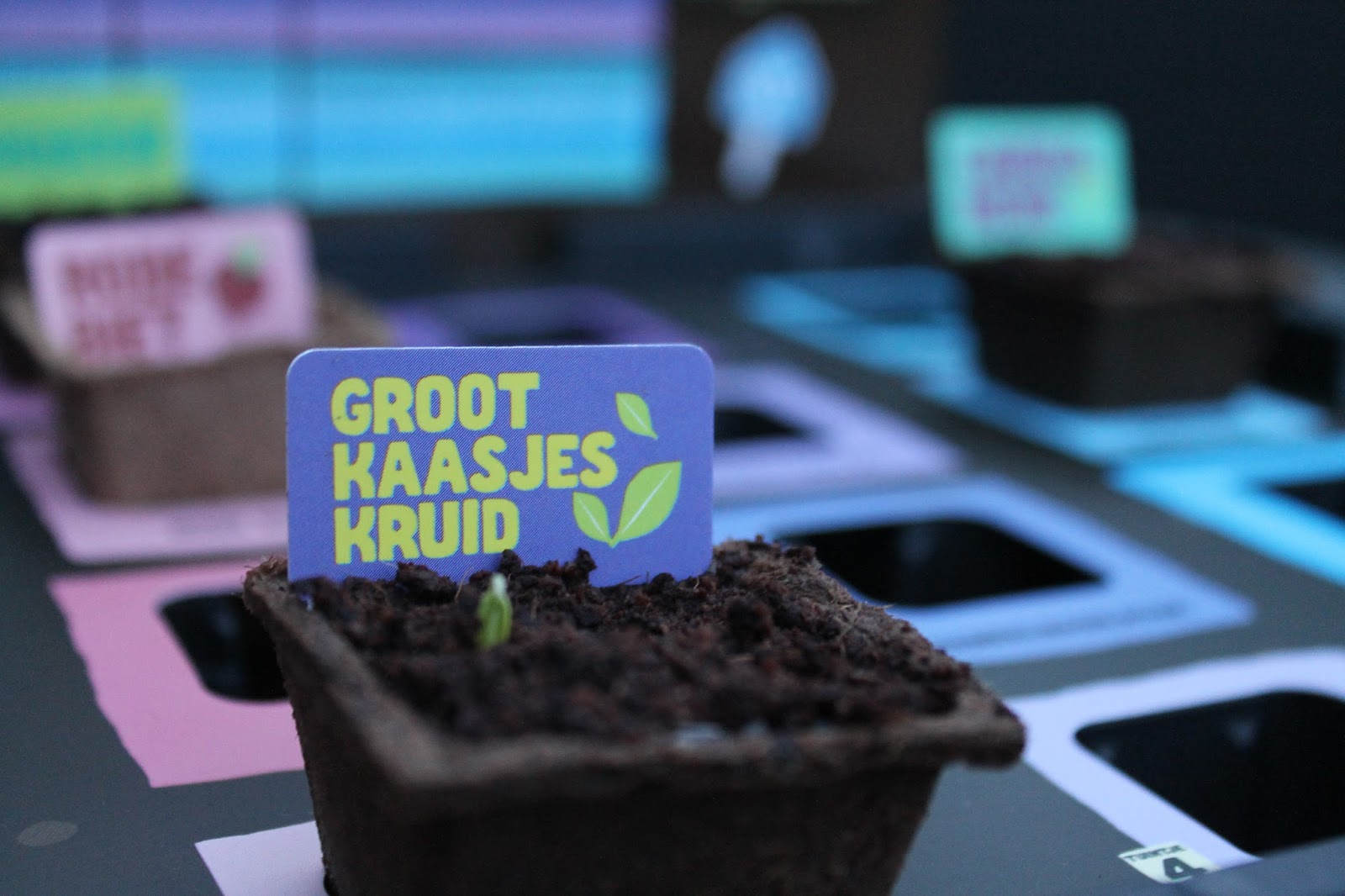 Mijn Moestuin Albert Heijn moestuintjes.