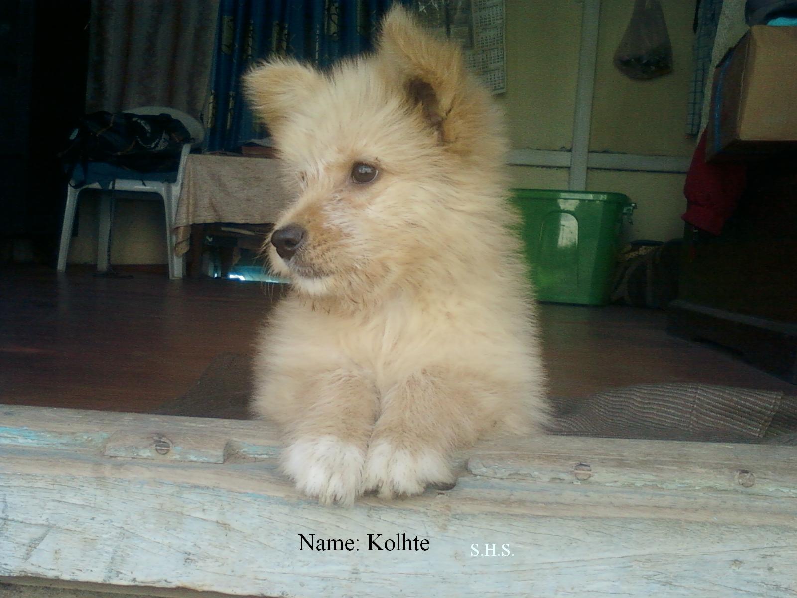 Something or Nothing?