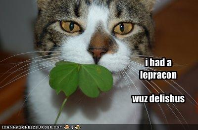 Cat St Patrick's Day meme -- Leprechauns are delicious -- Celebrating St Patricks Day with Cats, Star Wars, Yoga... Ya Know, the Usual!  ;P  Plus, the #FridayFrivolity LINKY - the blog party where hosts comment, pin, tweet, and want to get to know you!