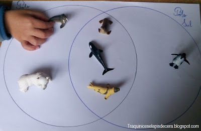 Animais dos polos - classificação usando diagrama de Venn Animais dos polos - classificação usando diagrama de Venn