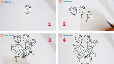 Cara mudah menggambar bunga tulip