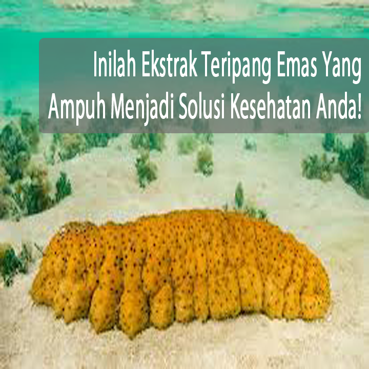 cara mengobati tonsilitis radang amandel akut dan kronis cara mengobati tonsilitis radang amandel akut dan kronis