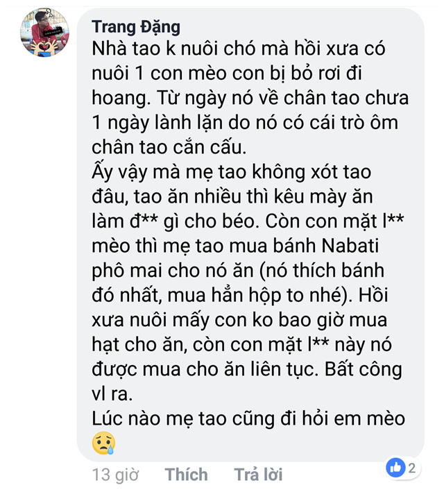 không bằng con chó, con mèo 15 không bằng con chó, con mèo 15