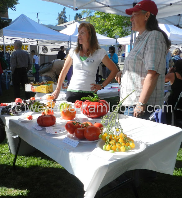 The judges are at the table with the entrants for the tomato festival