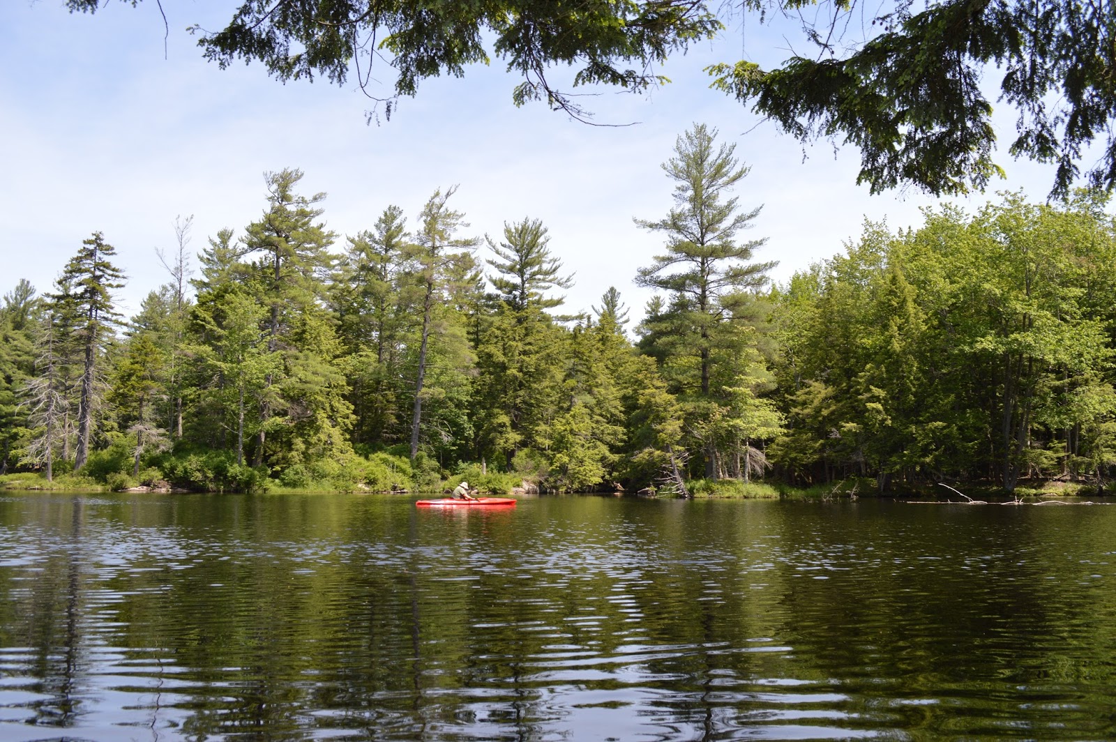 Quiet Kayaking in New York State