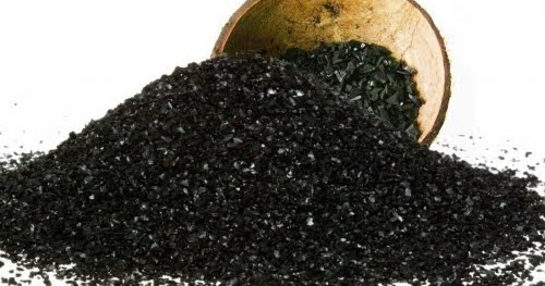 Coconut Shell Activated Carbon