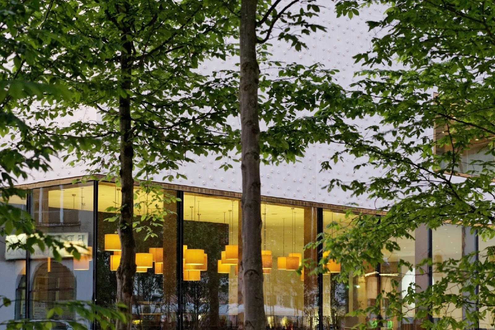 Renata Jaworska 2019