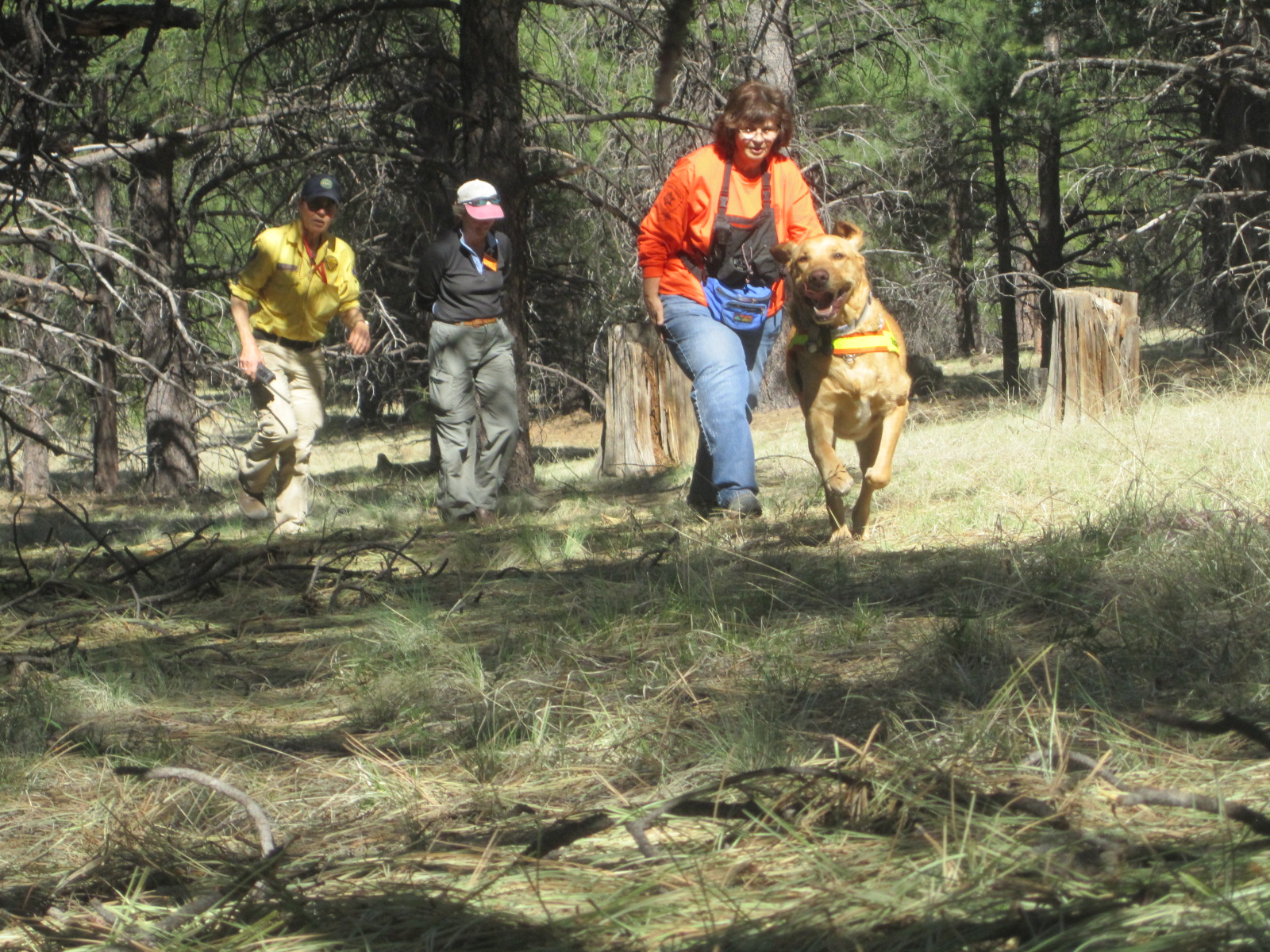 Deb's Search & Rescue Stories 2011 AZ K9 SARCON Search & Rescue