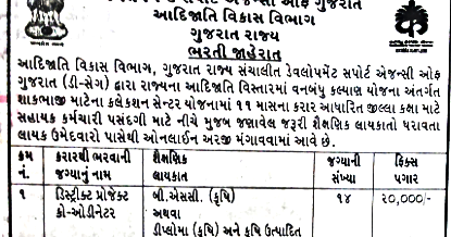 Development Support Agency of Gujarat Recruitment for District Project ...